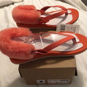 Brand new ugg flip flops with fur back